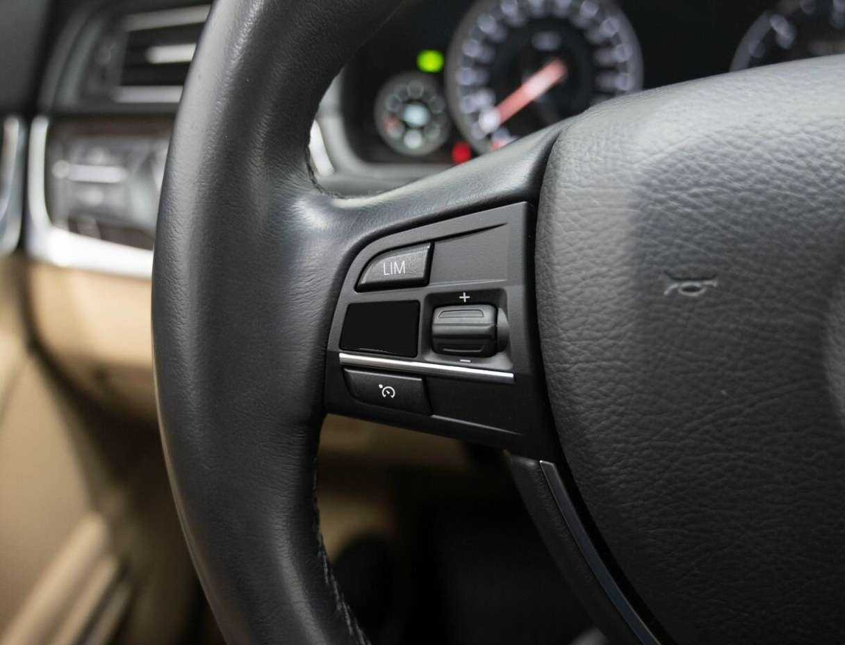 BMW 5 серии 530d xDrive, 2015 Фото №18